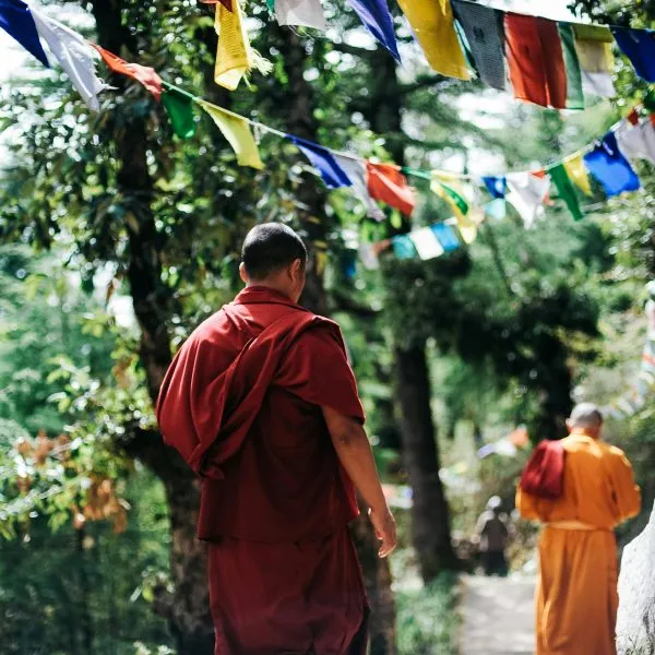 Monks walking beneath strings of prayer flags on a wooded path
