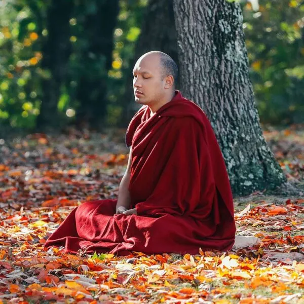 His Holiness the 17th Gyalwang Karmapa meditating beneath a tree among autumn leaves